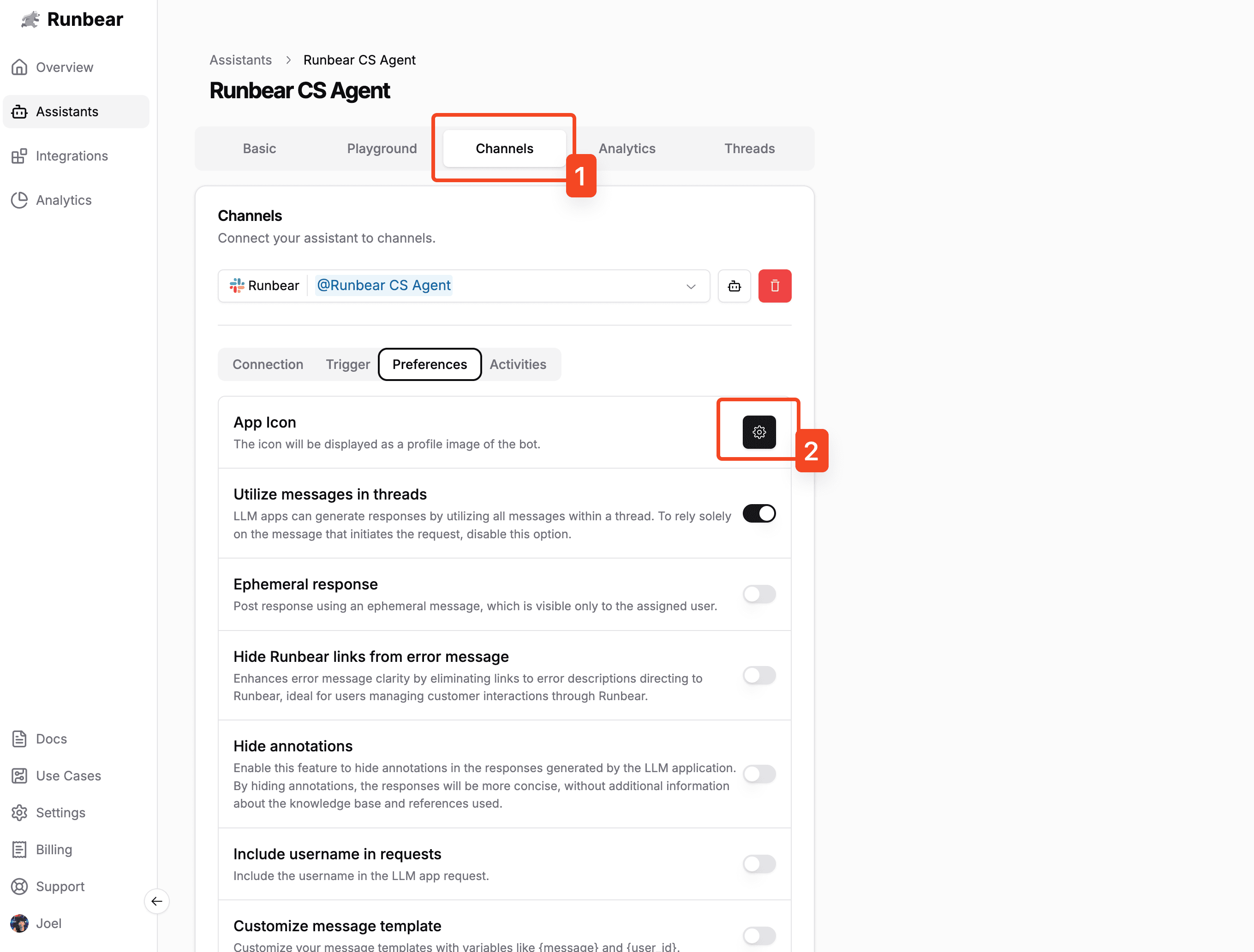App Icon Settings button
